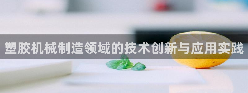 摩根娱乐挂机项目怎么样
