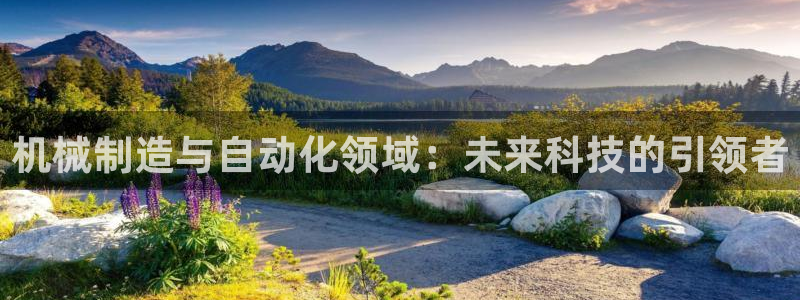 摩根士丹利娱乐