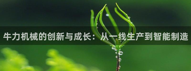 摩根娱乐宝怎么赚钱的