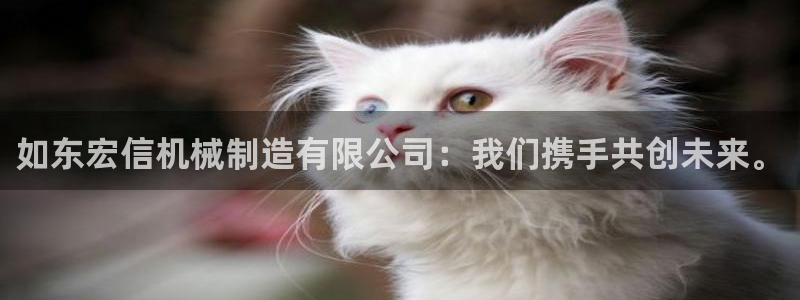 摩根娱乐公会创始人