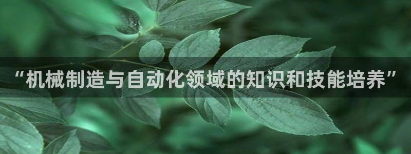 摩根娱乐宝的代理方式