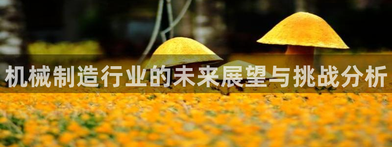 摩根娱乐宝老上不去啊