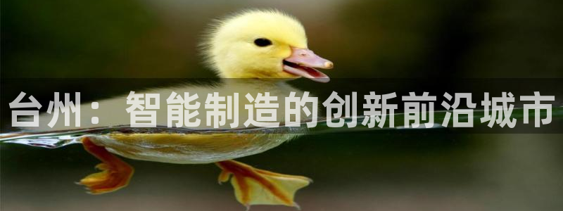 摩根娱乐宝是诈骗吗