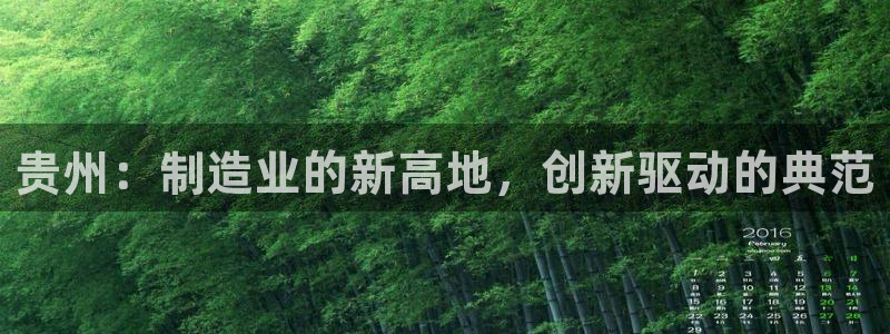 摩根娱乐和摩根国际