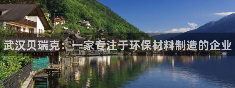 摩根娱乐挂机项目有哪些