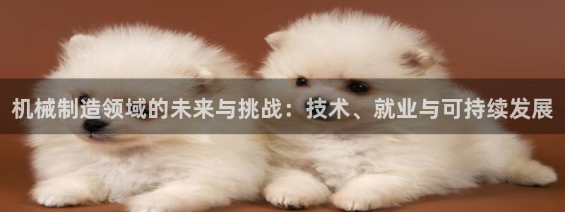 摩根娱乐创始人