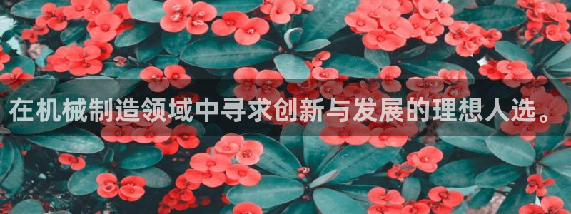 泉州摩根会娱乐保安公司