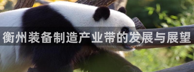 摩根娱乐宝在哪里登录