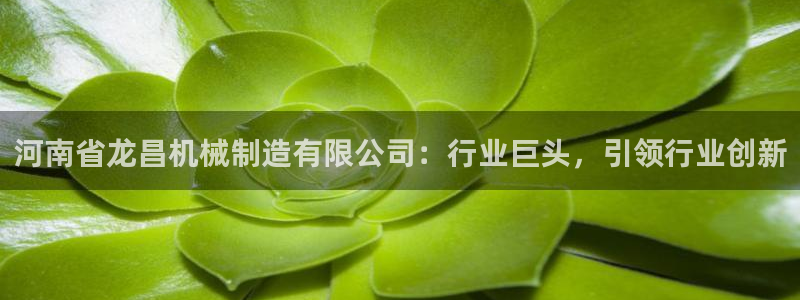 摩根娱乐是真的呀