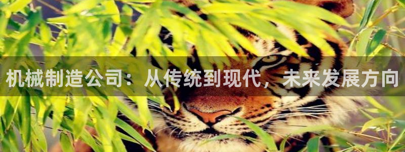 白宫摩根娱乐场所
