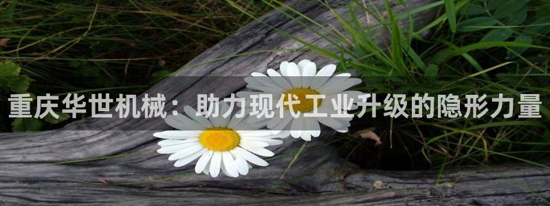 摩根娱乐50186联系
