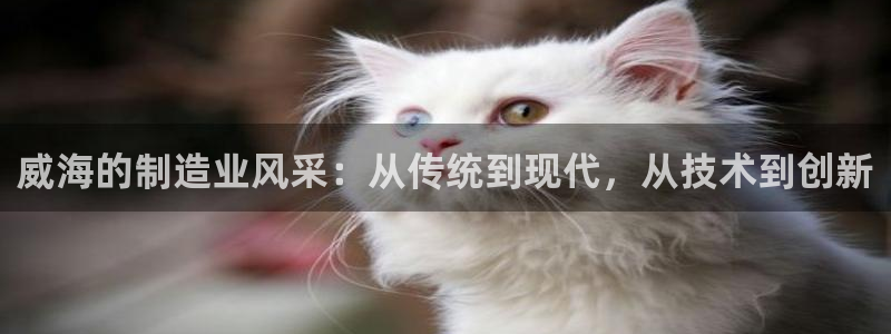 摩根士丹利凯撒娱乐