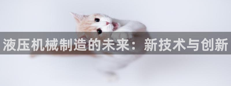 摩根娱乐开户总s管50015 15