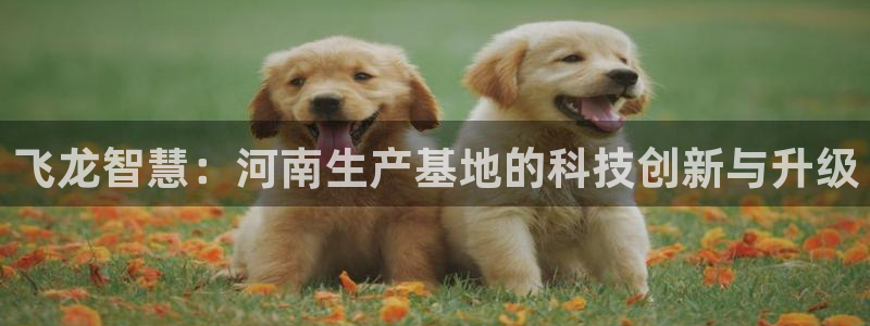 摩根娱乐挂机项目有哪些