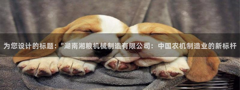 义乌摩根娱乐会所老板