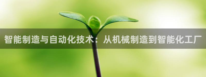 芜湖摩根一百有哪些娱乐