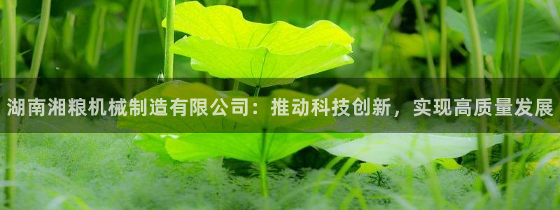 摩根娱乐宝骗了多少人