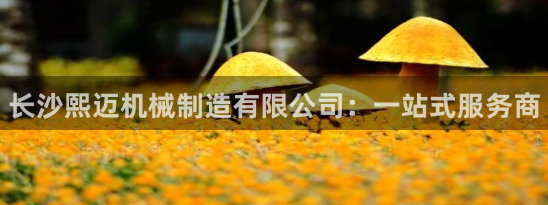 摩根娱乐宝官网