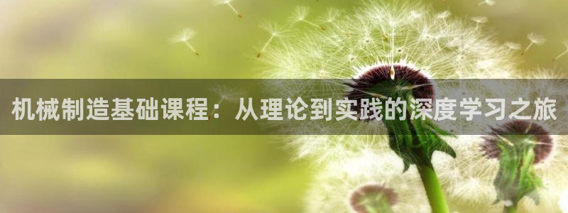 摩根娱乐50186选择