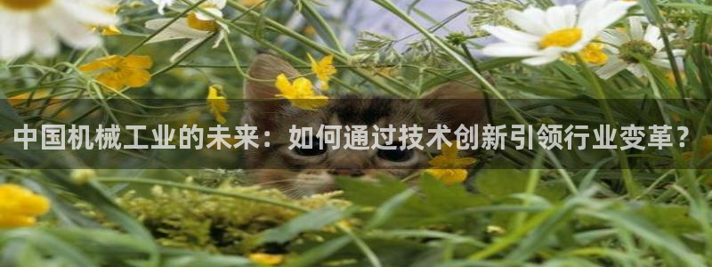 泉州摩根娱乐会所电话地址